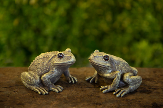 Frog Garden Ornaments