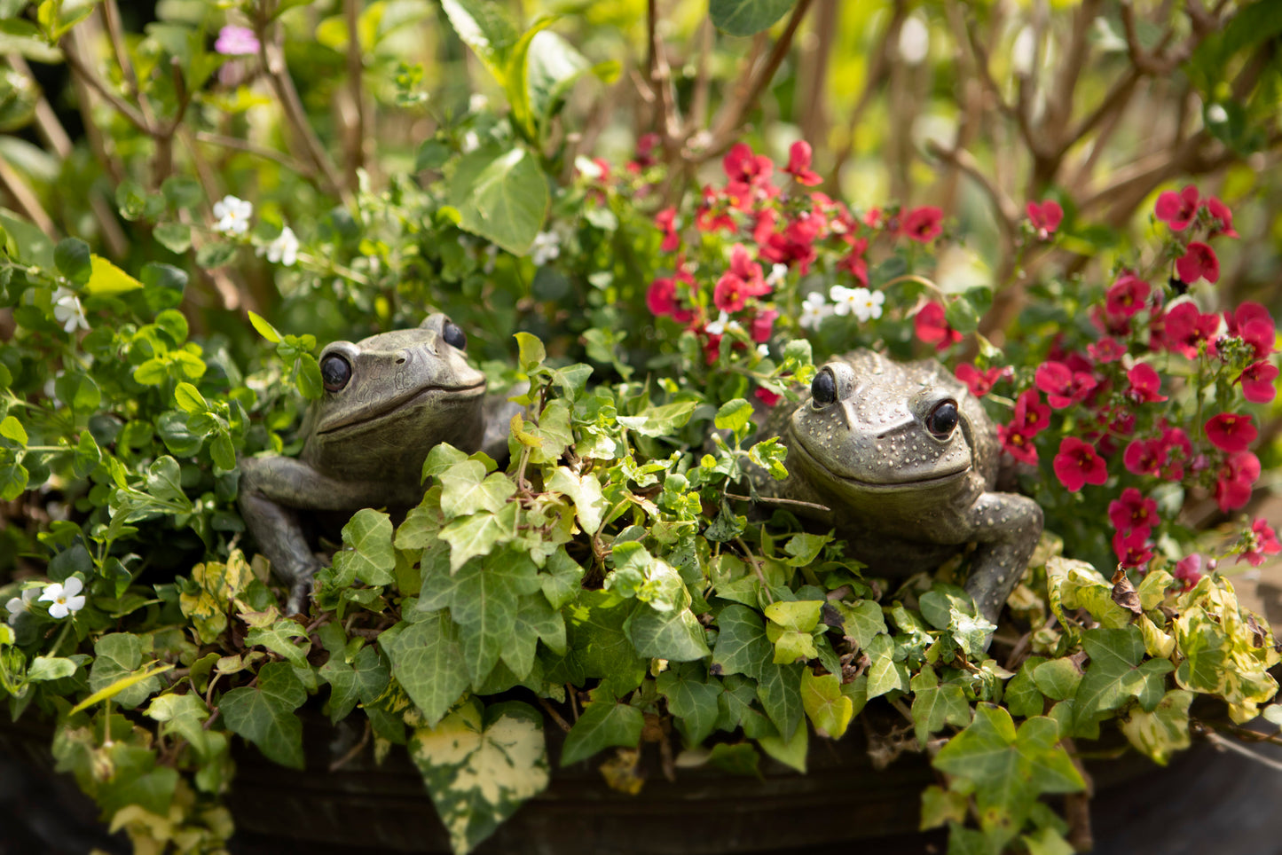 Frog Garden Ornaments