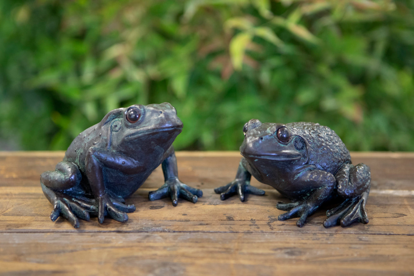 Pair of Frog Ornaments