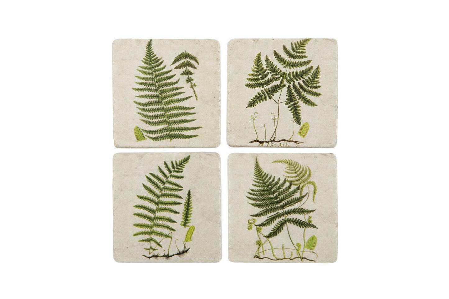 Set 4 French Shabby Chic Ceramic Tile Coasters in a Green Fern Design