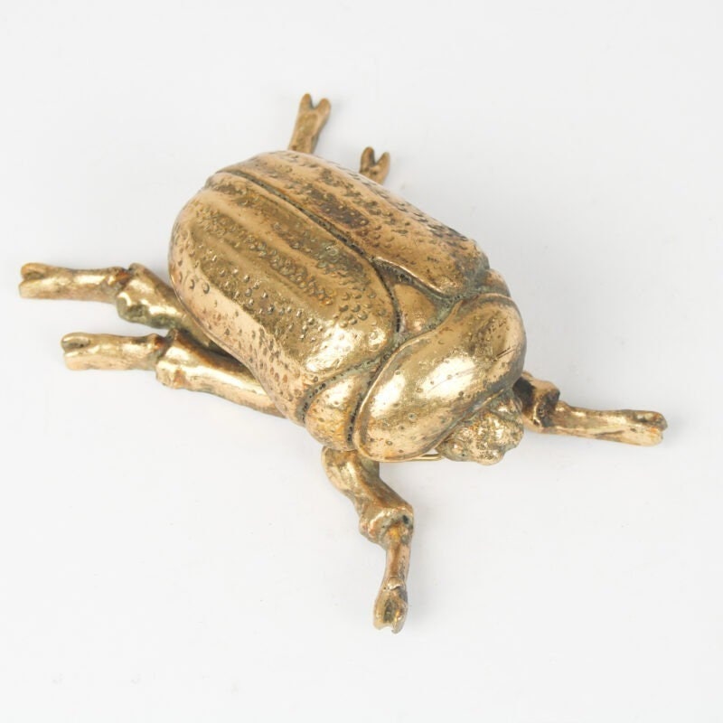 Gold Climbing Wall Beetles Wall Art Scarab and Stag SPECIAL OFFER