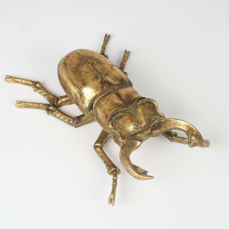 Gold Climbing Wall Beetles Wall Art Scarab and Stag SPECIAL OFFER