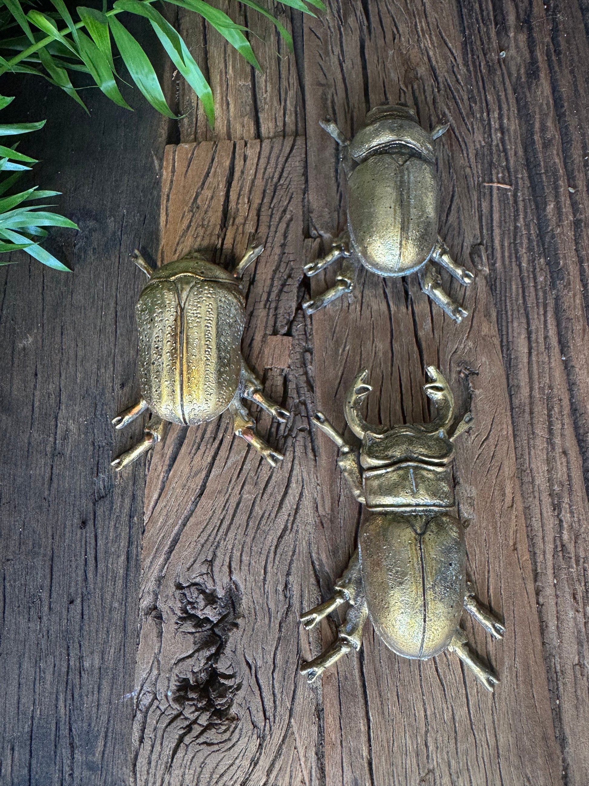 Gold Climbing Wall Beetles Wall Art Scarab and Stag SPECIAL OFFER