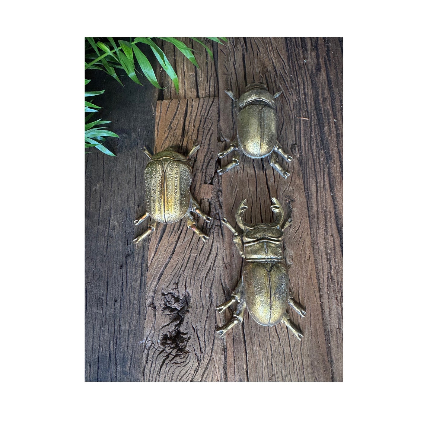 Gold Climbing Wall Beetles Wall Art Scarab and Stag SPECIAL OFFER