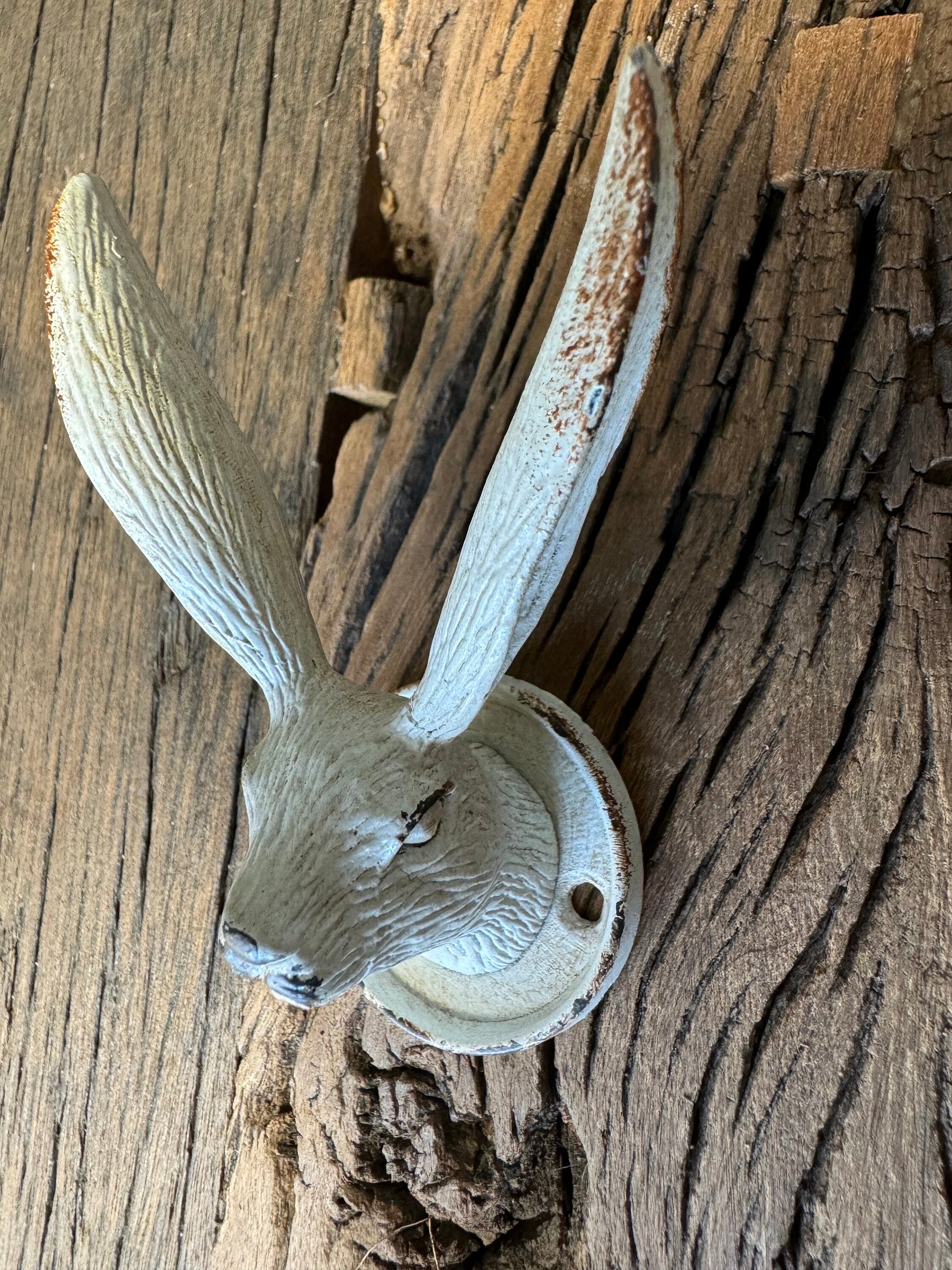 Hare Coat hook Cream Distressed Finish