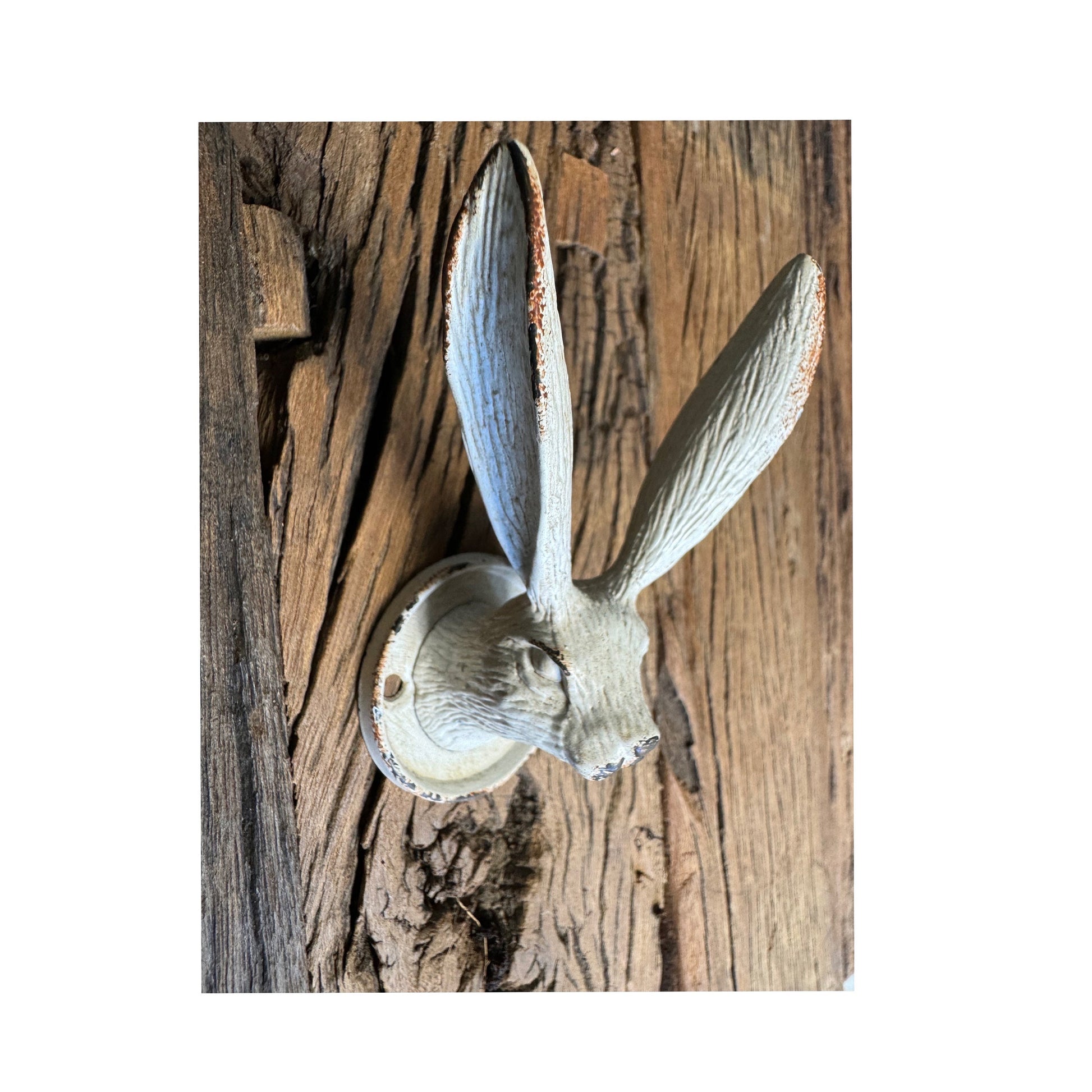 Hare Coat hook Cream Distressed Finish