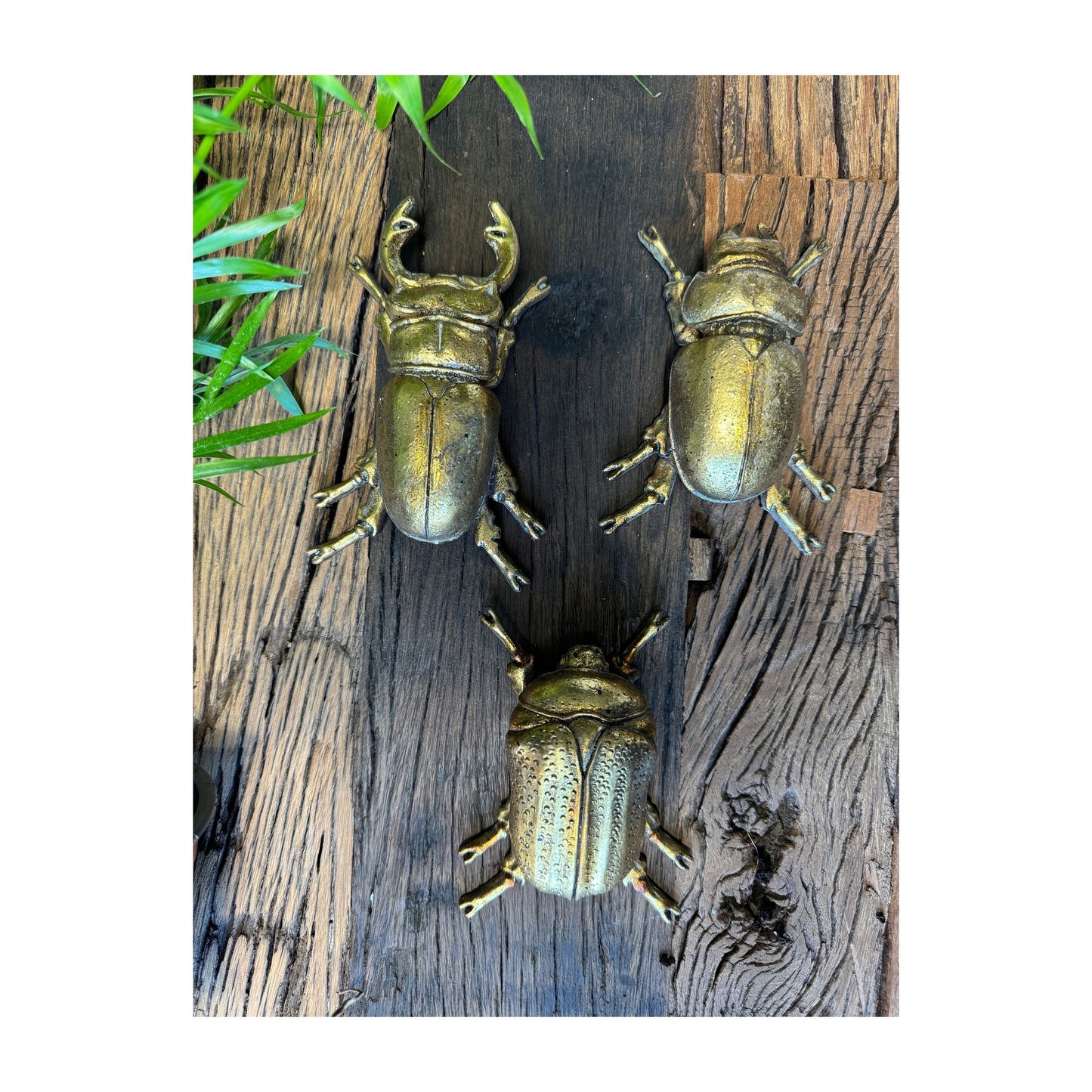 Gold Climbing Wall Beetles Wall Art Scarab and Stag SPECIAL OFFER