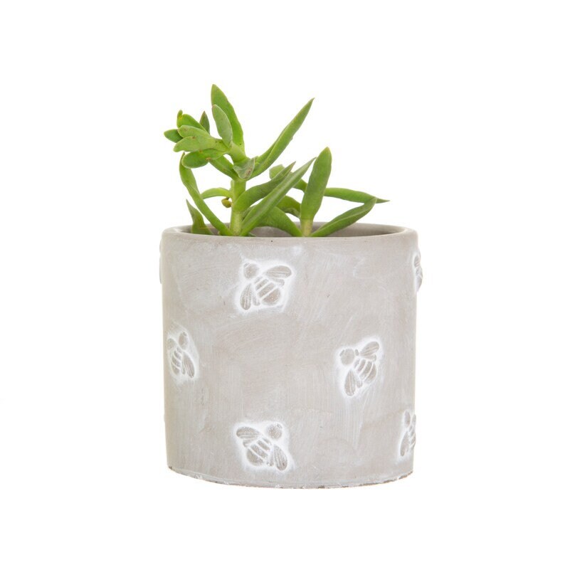 Small Bee Cement Plant Pot - Stock Clearance