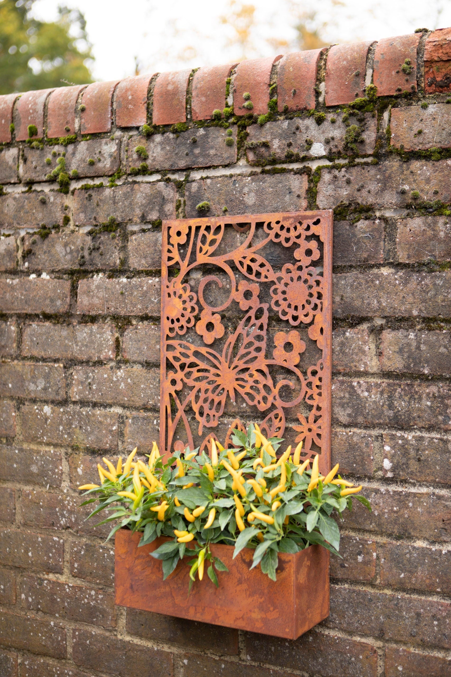 Metal Wall Planter Rustic Butterflies Garden Wall Planter Aged Metal