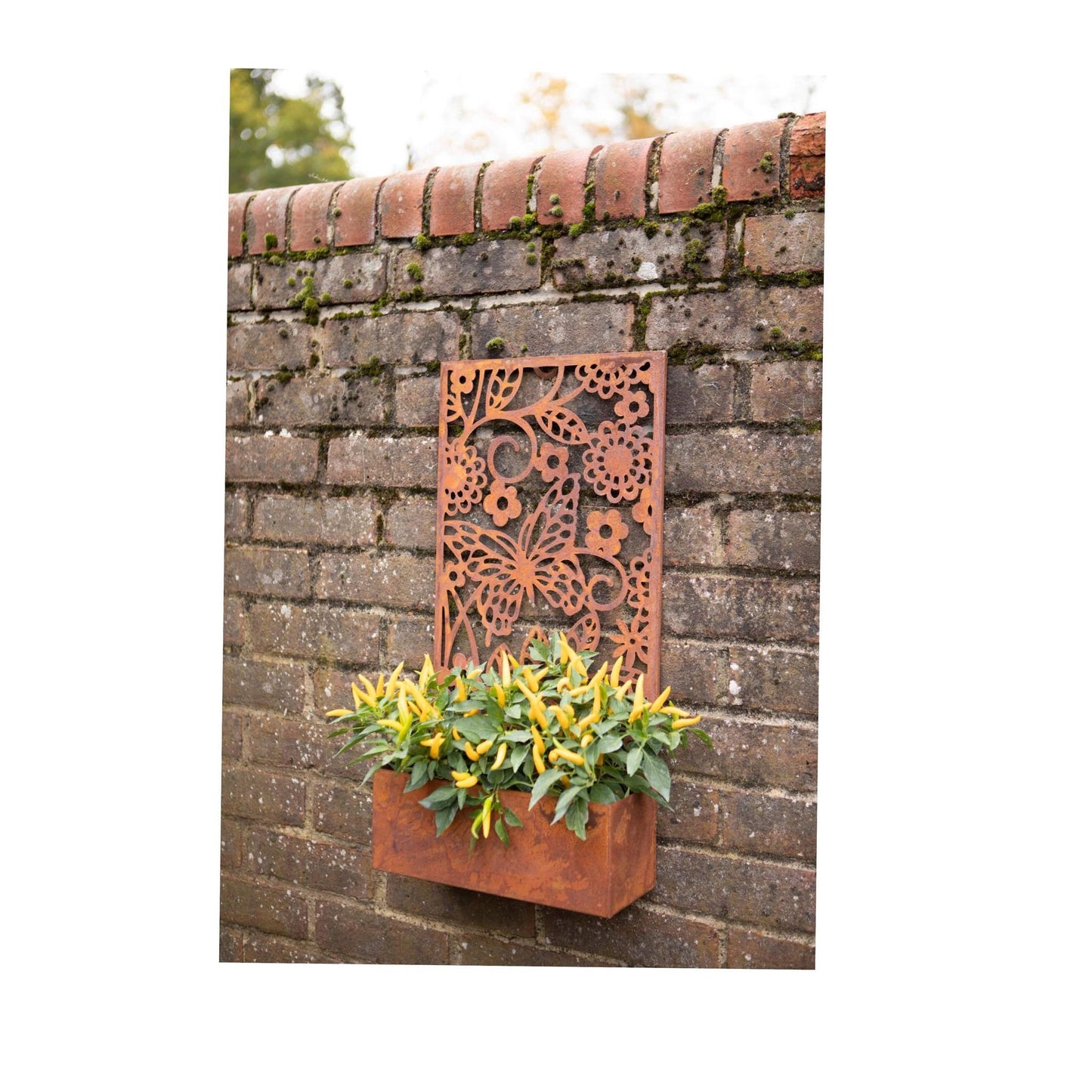 Metal Wall Planter Rustic Butterflies Garden Wall Planter Aged Metal